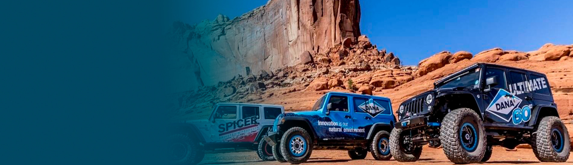 CARDAN Y TRANSMISIONES DE VEHÍCULOS 4X4